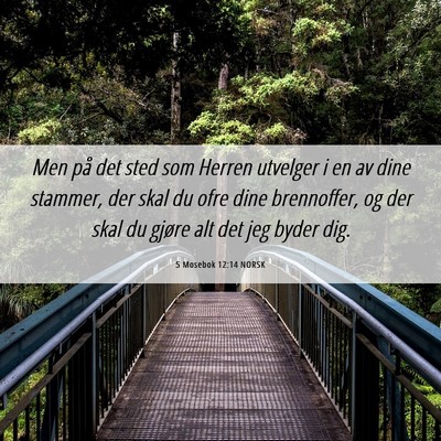 Picture 06 - 5 Mosebok 12:14 NORSK - Men på det sted som Herren utvelger i en av dine - Bible Verse Picture