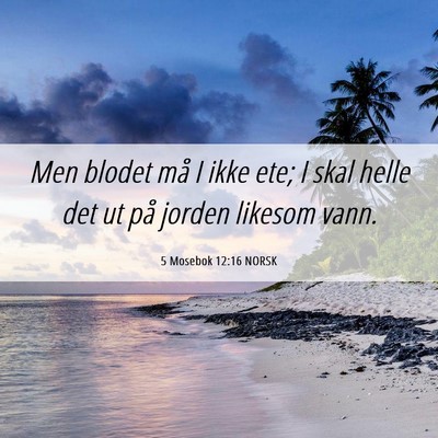 Picture 06 - 5 Mosebok 12:16 NORSK - Men blodet må I ikke ete; I skal helle det ut - Bible Verse Picture