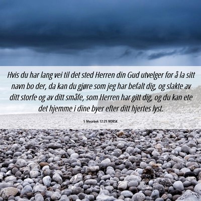 Picture 06 - 5 Mosebok 12:21 NORSK - Hvis du har lang vei til det sted Herren din Gud - Bible Verse Picture