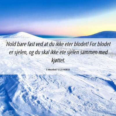 Picture 06 - 5 Mosebok 12:23 NORSK - Hold bare fast ved at du ikke eter blodet! For - Bible Verse Picture