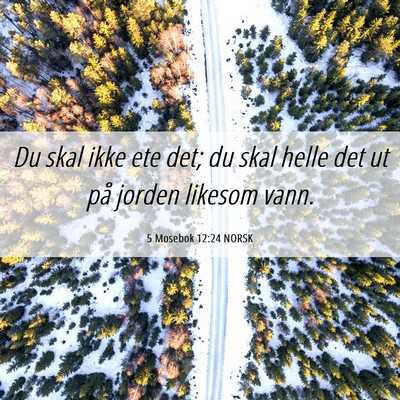 Picture 06 - 5 Mosebok 12:24 NORSK - Du skal ikke ete det; du skal helle det ut på - Bible Verse Picture