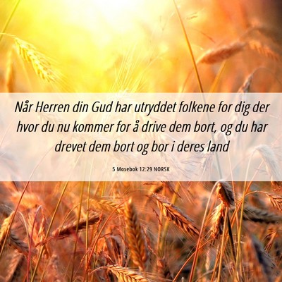 Picture 06 - 5 Mosebok 12:29 NORSK - Når Herren din Gud har utryddet folkene for dig - Bible Verse Picture