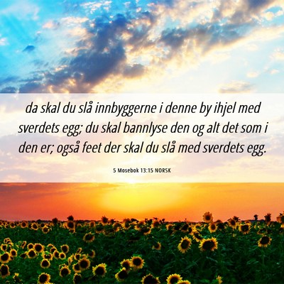 Picture 06 - 5 Mosebok 13:15 NORSK - da skal du slå innbyggerne i denne by ihjel med - Bible Verse Picture