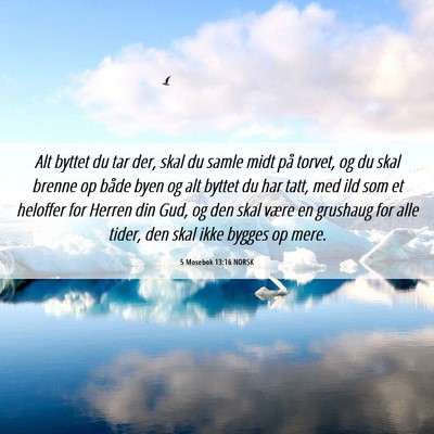 Picture 06 - 5 Mosebok 13:16 NORSK - Alt byttet du tar der, skal du samle midt på - Bible Verse Picture