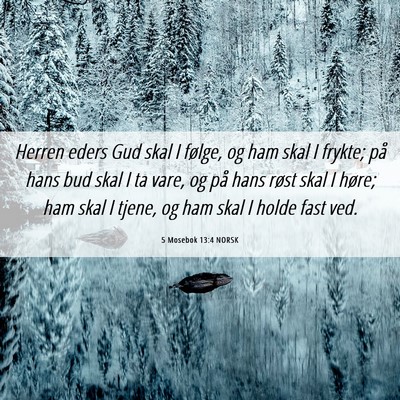 Picture 06 - 5 Mosebok 13:4 NORSK - Herren eders Gud skal I følge, og ham skal I - Bible Verse Picture