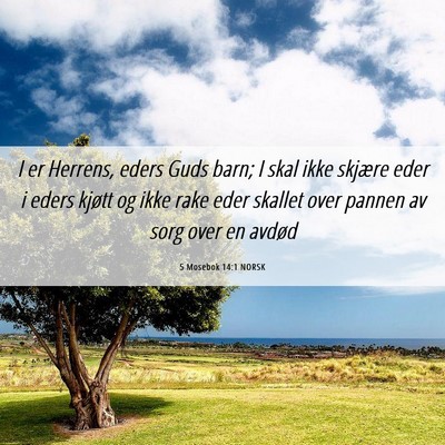 Picture 06 - 5 Mosebok 14:1 NORSK - I er Herrens, eders Guds barn; I skal ikke - Bible Verse Picture