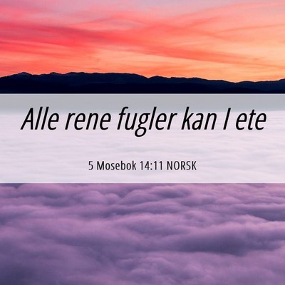 Picture 06 - 5 Mosebok 14:11 NORSK - Alle rene fugler kan I - Bible Verse Picture