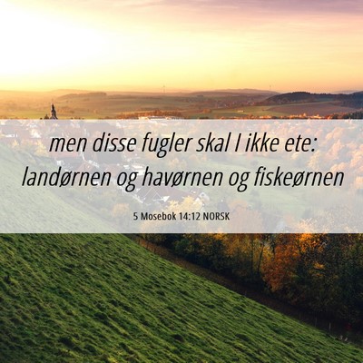 Picture 06 - 5 Mosebok 14:12 NORSK - men disse fugler skal I ikke ete: landørnen og - Bible Verse Picture
