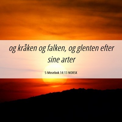 Picture 06 - 5 Mosebok 14:13 NORSK - og kråken og falken, og glenten efter sine - Bible Verse Picture