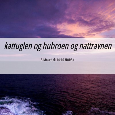 Picture 06 - 5 Mosebok 14:16 NORSK - kattuglen og hubroen og - Bible Verse Picture