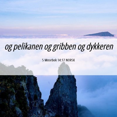 Picture 06 - 5 Mosebok 14:17 NORSK - og pelikanen og gribben og - Bible Verse Picture