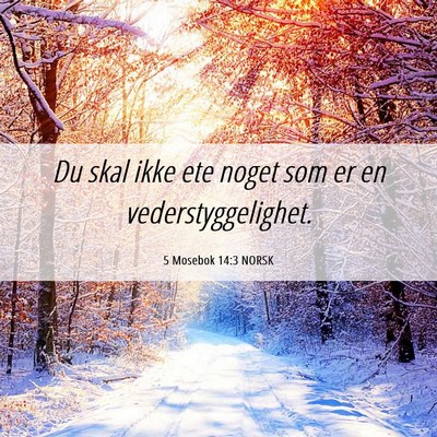 Picture 06 - 5 Mosebok 14:3 NORSK - Du skal ikke ete noget som er en - Bible Verse Picture