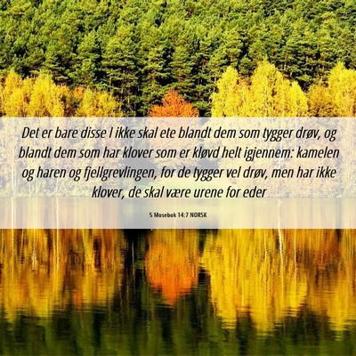 Picture 06 - 5 Mosebok 14:7 NORSK - Det er bare disse I ikke skal ete blandt dem som - Bible Verse Picture