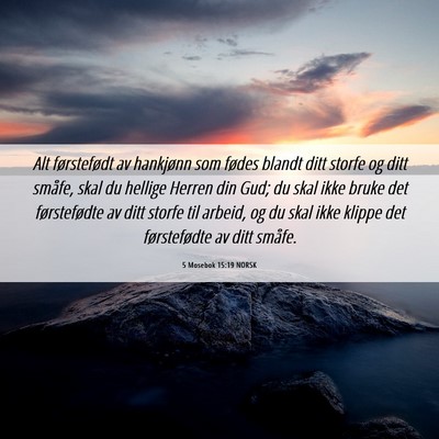 Picture 06 - 5 Mosebok 15:19 NORSK - Alt førstefødt av hankjønn som fødes blandt - Bible Verse Picture