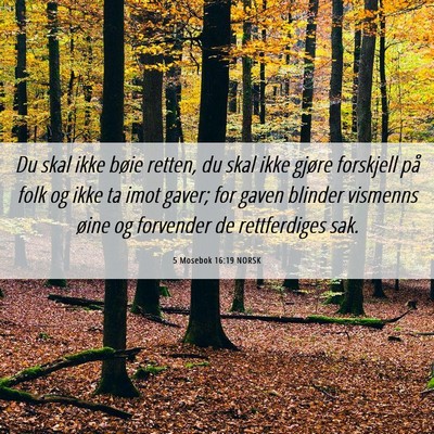 Picture 06 - 5 Mosebok 16:19 NORSK - Du skal ikke bøie retten, du skal ikke gjøre - Bible Verse Picture