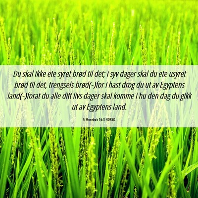 Picture 06 - 5 Mosebok 16:3 NORSK - Du skal ikke ete syret brød til det; i syv dager - Bible Verse Picture