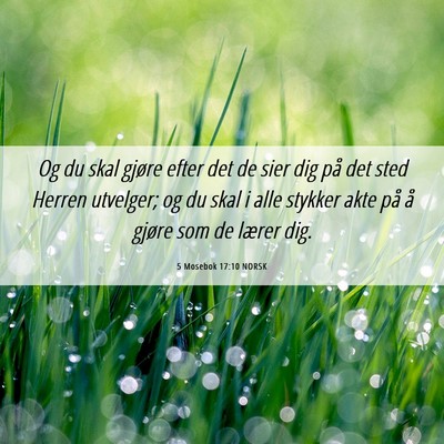 Picture 06 - 5 Mosebok 17:10 NORSK - Og du skal gjøre efter det de sier dig på det - Bible Verse Picture