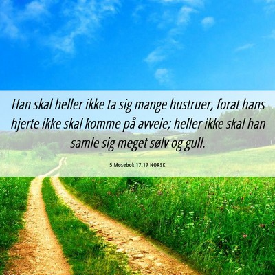 Picture 06 - 5 Mosebok 17:17 NORSK - Han skal heller ikke ta sig mange hustruer, forat - Bible Verse Picture