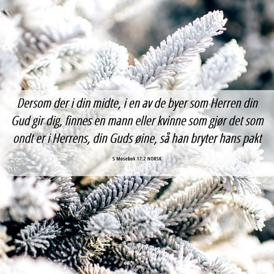 Picture 06 - 5 Mosebok 17:2 NORSK - Dersom der i din midte, i en av de byer som - Bible Verse Picture