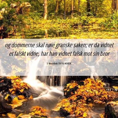 Picture 06 - 5 Mosebok 19:18 NORSK - og dommerne skal nøie granske saken; er da - Bible Verse Picture