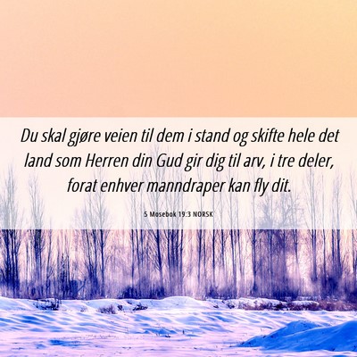 Picture 06 - 5 Mosebok 19:3 NORSK - Du skal gjøre veien til dem i stand og skifte - Bible Verse Picture