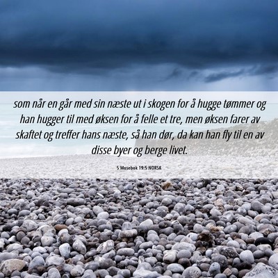 Picture 06 - 5 Mosebok 19:5 NORSK - som når en går med sin næste ut i skogen for - Bible Verse Picture