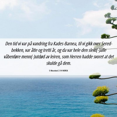 Picture 06 - 5 Mosebok 2:14 NORSK - Den tid vi var på vandring fra Kades-Barnea, til - Bible Verse Picture