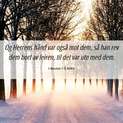Picture 06 - 5 Mosebok 2:15 NORSK - Og Herrens hånd var også mot dem, så han rev - Bible Verse Picture