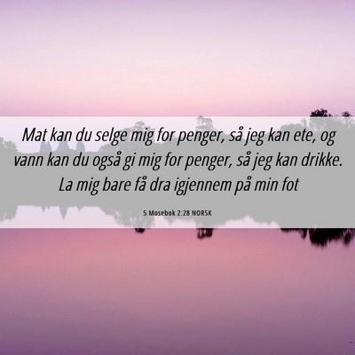 Picture 06 - 5 Mosebok 2:28 NORSK - Mat kan du selge mig for penger, så jeg kan ete, - Bible Verse Picture