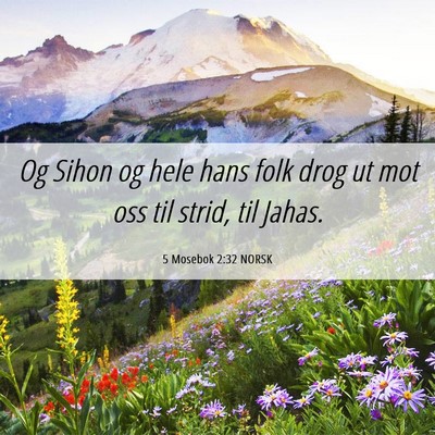 Picture 06 - 5 Mosebok 2:32 NORSK - Og Sihon og hele hans folk drog ut mot oss til - Bible Verse Picture