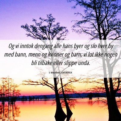 Picture 06 - 5 Mosebok 2:34 NORSK - Og vi inntok dengang alle hans byer og slo hver - Bible Verse Picture