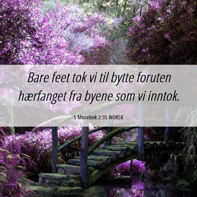 Picture 06 - 5 Mosebok 2:35 NORSK - Bare feet tok vi til bytte foruten hærfanget fra - Bible Verse Picture