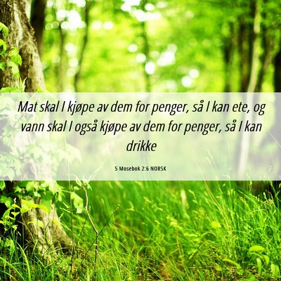 Picture 06 - 5 Mosebok 2:6 NORSK - Mat skal I kjøpe av dem for penger, så I kan - Bible Verse Picture