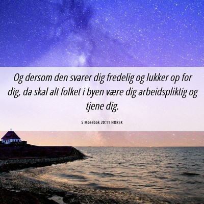 Picture 06 - 5 Mosebok 20:11 NORSK - Og dersom den svarer dig fredelig og lukker op - Bible Verse Picture