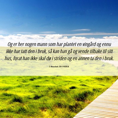 Picture 06 - 5 Mosebok 20:6 NORSK - Og er her nogen mann som har plantet en vingård - Bible Verse Picture