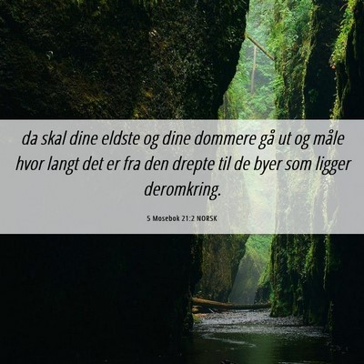 Picture 06 - 5 Mosebok 21:2 NORSK - da skal dine eldste og dine dommere gå ut og - Bible Verse Picture