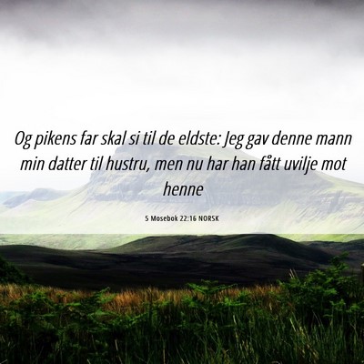 Picture 06 - 5 Mosebok 22:16 NORSK - Og pikens far skal si til de eldste: Jeg gav - Bible Verse Picture