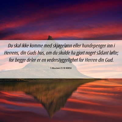 Picture 06 - 5 Mosebok 23:18 NORSK - Du skal ikke komme med skjøgelønn eller - Bible Verse Picture