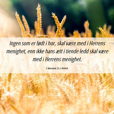 Picture 06 - 5 Mosebok 23:2 NORSK - Ingen som er født i hor, skal være med i - Bible Verse Picture