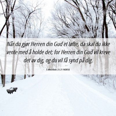Picture 06 - 5 Mosebok 23:21 NORSK - Når du gjør Herren din Gud et løfte, da skal - Bible Verse Picture