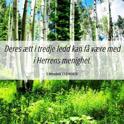 Picture 06 - 5 Mosebok 23:8 NORSK - Deres ætt i tredje ledd kan få være med i - Bible Verse Picture