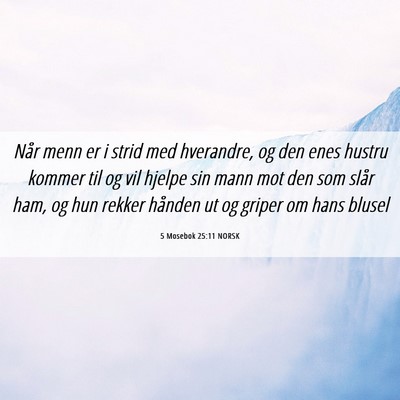 Picture 06 - 5 Mosebok 25:11 NORSK - Når menn er i strid med hverandre, og den enes - Bible Verse Picture