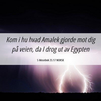Picture 06 - 5 Mosebok 25:17 NORSK - Kom i hu hvad Amalek gjorde mot dig på veien, da - Bible Verse Picture