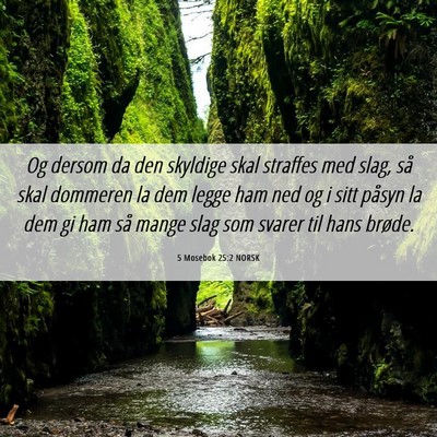 Picture 06 - 5 Mosebok 25:2 NORSK - Og dersom da den skyldige skal straffes med slag, - Bible Verse Picture