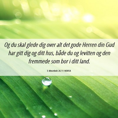 Picture 06 - 5 Mosebok 26:11 NORSK - Og du skal glede dig over alt det gode Herren din - Bible Verse Picture