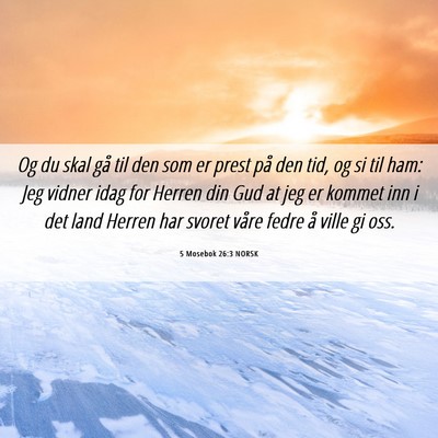 Picture 06 - 5 Mosebok 26:3 NORSK - Og du skal gå til den som er prest på den tid, - Bible Verse Picture