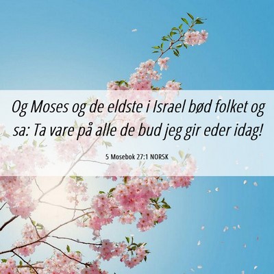 Picture 06 - 5 Mosebok 27:1 NORSK - Og Moses og de eldste i Israel bød folket og sa: - Bible Verse Picture