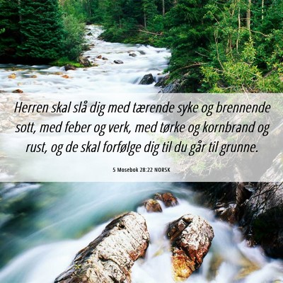 Picture 06 - 5 Mosebok 28:22 NORSK - Herren skal slå dig med tærende syke og - Bible Verse Picture