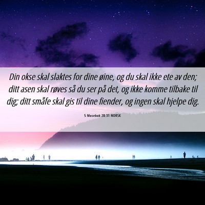 Picture 06 - 5 Mosebok 28:31 NORSK - Din okse skal slaktes for dine øine, og du skal - Bible Verse Picture
