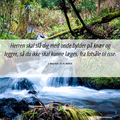 Picture 06 - 5 Mosebok 28:35 NORSK - Herren skal slå dig med onde bylder på knær og - Bible Verse Picture